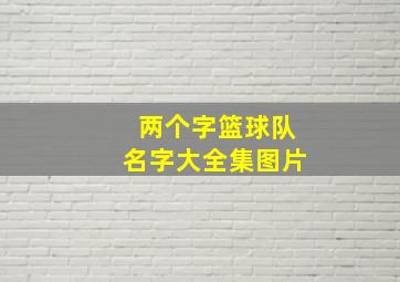 两个字篮球队名字大全集图片