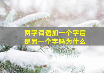 两字词语加一个字后是另一个字吗为什么