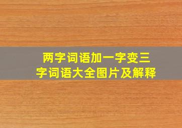 两字词语加一字变三字词语大全图片及解释