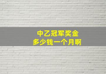 中乙冠军奖金多少钱一个月啊