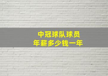 中冠球队球员年薪多少钱一年