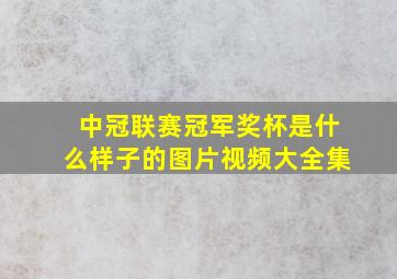 中冠联赛冠军奖杯是什么样子的图片视频大全集