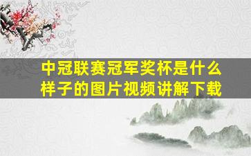 中冠联赛冠军奖杯是什么样子的图片视频讲解下载