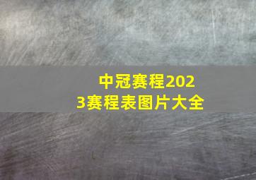 中冠赛程2023赛程表图片大全