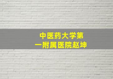 中医药大学第一附属医院赵坤