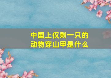 中国上仅剩一只的动物穿山甲是什么