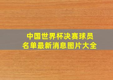 中国世界杯决赛球员名单最新消息图片大全