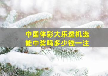 中国体彩大乐透机选能中奖吗多少钱一注