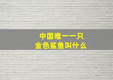 中国唯一一只金色鲨鱼叫什么