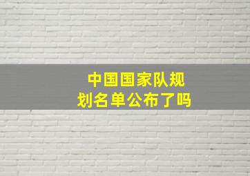 中国国家队规划名单公布了吗