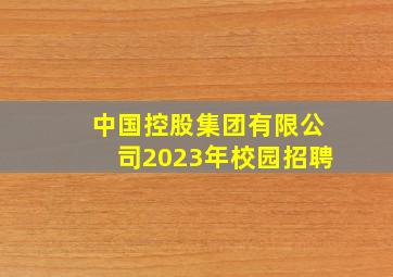 中国控股集团有限公司2023年校园招聘