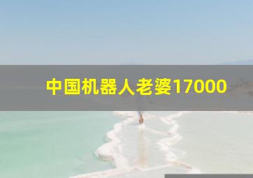 中国机器人老婆17000