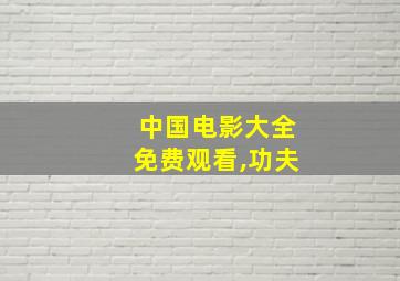 中国电影大全免费观看,功夫