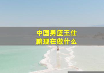 中国男篮王仕鹏现在做什么