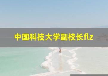 中国科技大学副校长flz