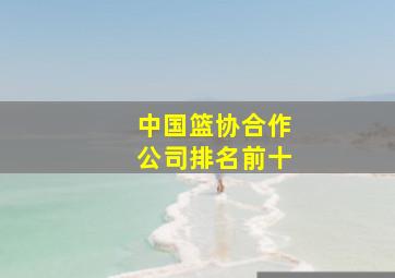 中国篮协合作公司排名前十