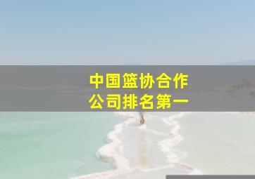 中国篮协合作公司排名第一