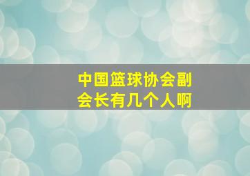 中国篮球协会副会长有几个人啊