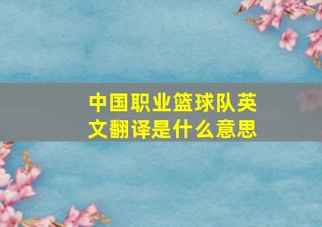 中国职业篮球队英文翻译是什么意思