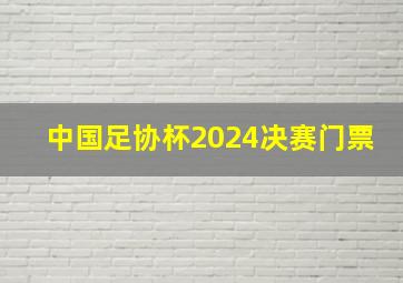 中国足协杯2024决赛门票