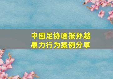 中国足协通报孙越暴力行为案例分享