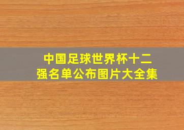 中国足球世界杯十二强名单公布图片大全集