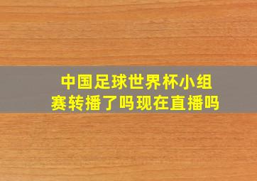 中国足球世界杯小组赛转播了吗现在直播吗