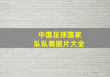 中国足球国家队队徽图片大全