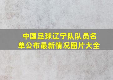 中国足球辽宁队队员名单公布最新情况图片大全