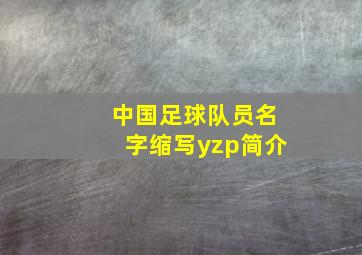 中国足球队员名字缩写yzp简介