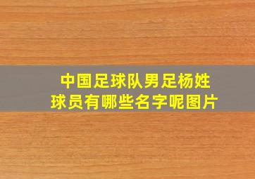 中国足球队男足杨姓球员有哪些名字呢图片