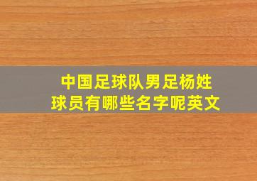 中国足球队男足杨姓球员有哪些名字呢英文