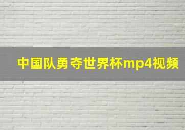 中国队勇夺世界杯mp4视频