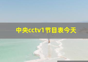 中央cctv1节目表今天