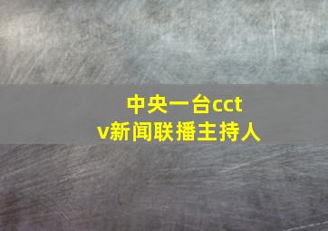 中央一台cctv新闻联播主持人