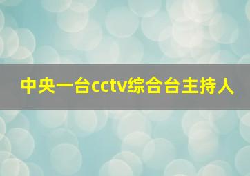 中央一台cctv综合台主持人