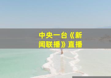 中央一台《新闻联播》直播