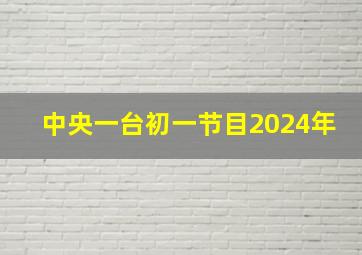 中央一台初一节目2024年