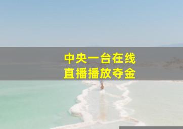 中央一台在线直播播放夺金