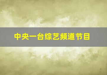 中央一台综艺频道节目