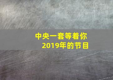 中央一套等着你2019年的节目