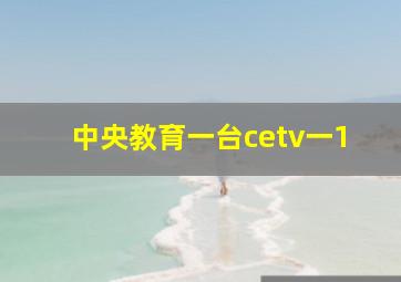 中央教育一台cetv一1