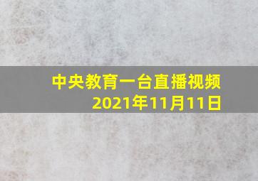 中央教育一台直播视频2021年11月11日