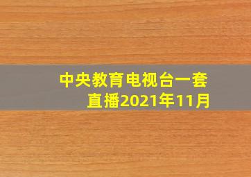 中央教育电视台一套直播2021年11月