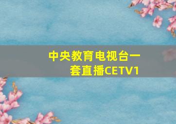 中央教育电视台一套直播CETV1