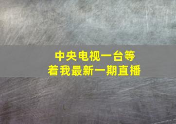 中央电视一台等着我最新一期直播