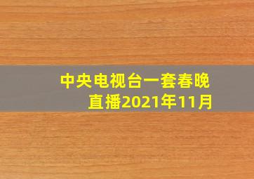 中央电视台一套春晚直播2021年11月