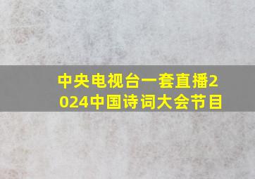 中央电视台一套直播2024中国诗词大会节目