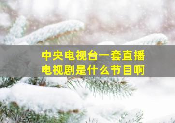 中央电视台一套直播电视剧是什么节目啊