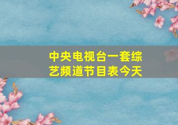 中央电视台一套综艺频道节目表今天